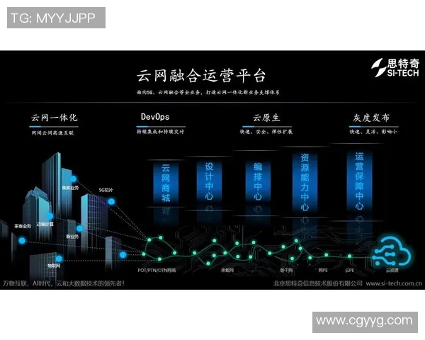 南京羽毛球队运营策略深度分析与发展前景展望